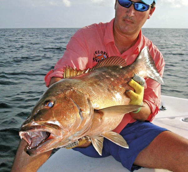 Spinnfischen auf Cubera Snapper